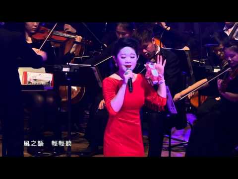 王靜《星》 【永遠的鄧麗君_情繫40慈善演唱會】