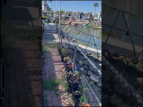 Video realizado por la propiedad