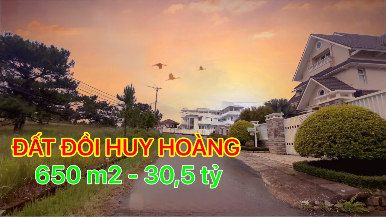 Bán đất hai mặt tiền 650m2 view đẹp khu vực VIP Đà Lạt, Đồi Huy Hoàng, Phường 8, giá chỉ 30.5 tỷ video