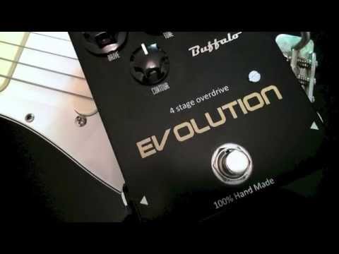 Buffalo FX Evolution review