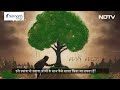 Art for hope 2024: कला की शक्ति का उपयोग | NDTV India - 03:20 min - News - Video