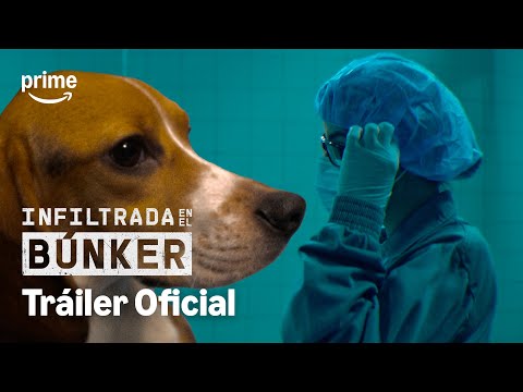 Infiltrada en el búnker'