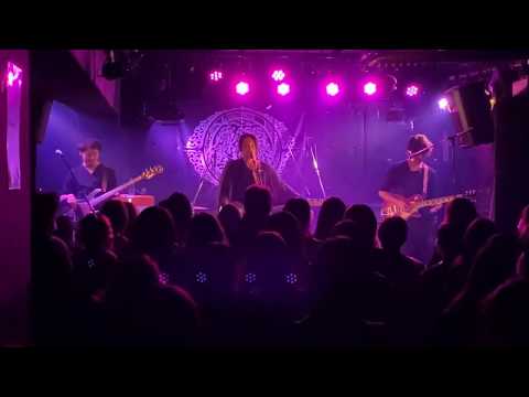 Live@yanagase ants vol.1