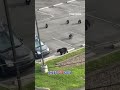 BEARY CUTE: Mama bear and 4 cubs caught on camera #shorts #bear #animals #cute #usa  - 00:21 min - News - Video