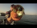 La pêche du brochet au Divinator sur le lac Léman avec Mathieu Alexandre