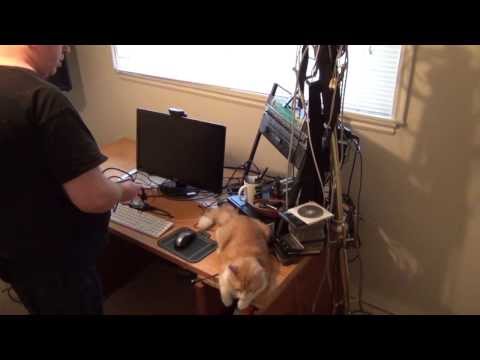 How to set up a home recording studio with your cat