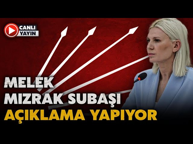 Bilecik Belediye Başkanı Subaşı Halk TV'de orman yangınına ilişkin açıklama yaptı (29 Haziran 2025)