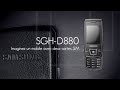 SAMSUNG SGH-D880