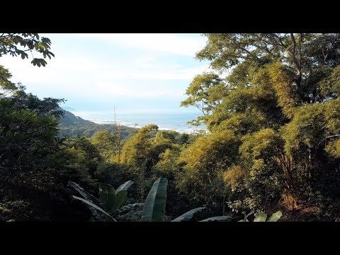 Vidéo de l’hébergement