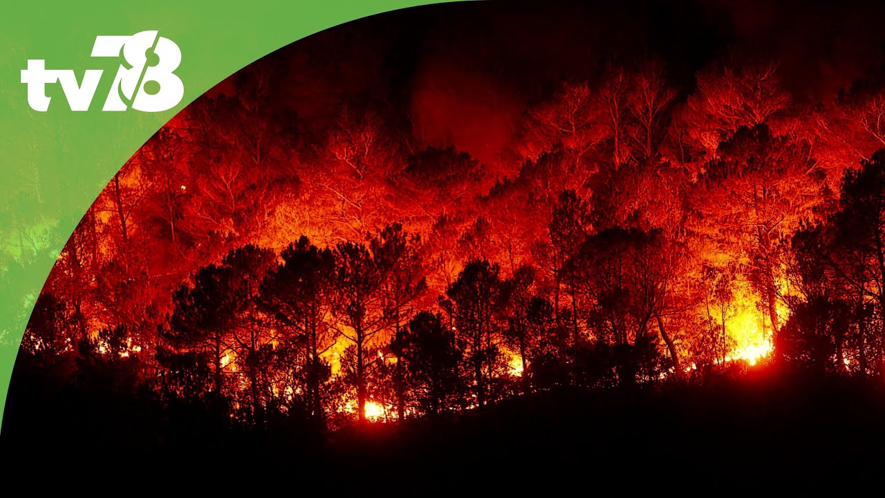 Les feux de forêt, une préoccupation de plus en plus grande pour les pompiers du 78