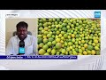 గిట్టుబాటు ధర లేక చీనీ రైతుల విలవిల | Cheeni Farmers Face Big Problems Over Low Prices in AP