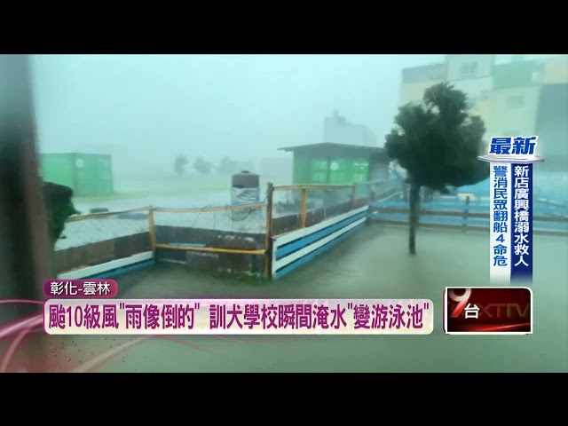 雷擊搖滾區！ 駕駛直擊電桿爆火光　驚呼「閃過人生跑馬燈」