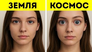 Чем больше вы узнаете о своем теле, тем страннее оно кажется