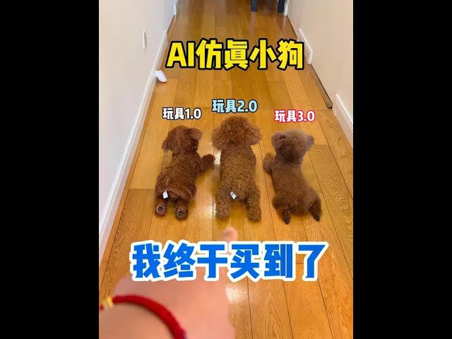 现在的玩具这么卷吗？ #万物可爱计划 #APT已经被萌宠拿捏了 #王多多