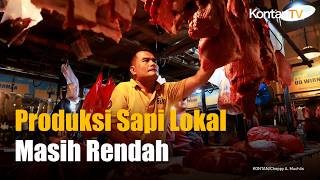 Impor Sapi Masih Mendominasi, Produksi Lokal Belum Mampu Mengejar