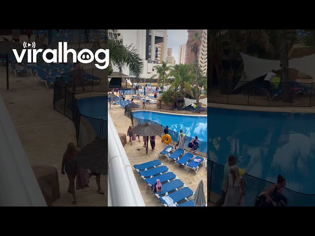 Sun Bed War || ViralHog