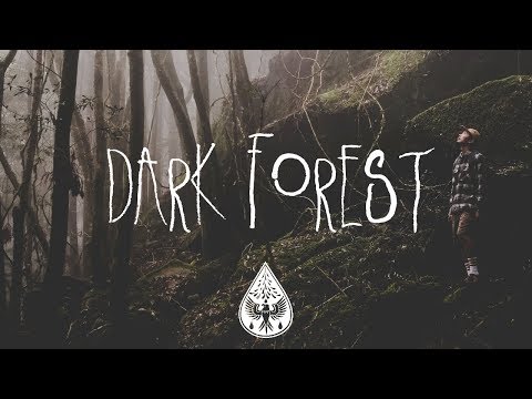 Dark Forest 🦇 - An Indie/Folk/Alternative Playlist (Halloween 2017)