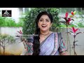 వెయ్యి ఎపిసోడ్స్ కి ఎన్ని చీరలు వాడమంటే | Trinayani Serial Ashika Gopal Padukone Exclusive Interview  - 09:39 min - News - Video