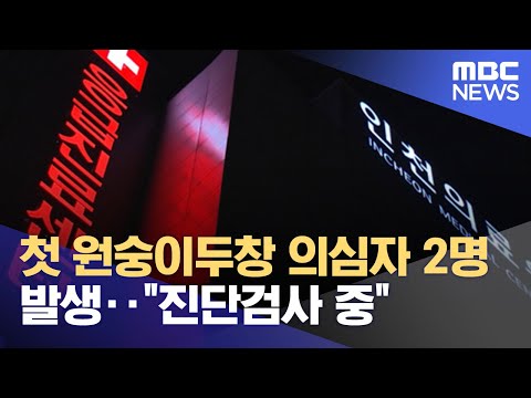 첫 원숭이두창 의심자 2명 발생‥"진단검사 중" (2022.06.22/뉴스투데이/MBC)