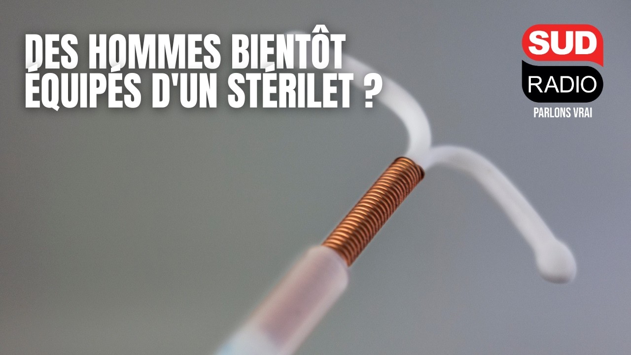 Des chercheurs lillois travaillent sur un stérilet masculin