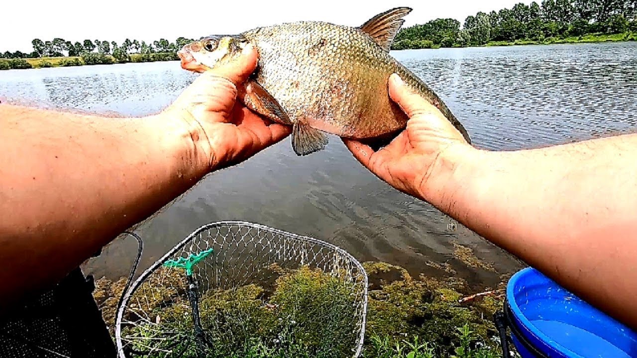 Ловля леща ночью зимой в палатке на озёрах, реках и водохранилищах