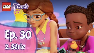 Lego Friends 2x30