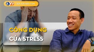 STRESS không xấu! 2 CÔNG DỤNG quan trọng và 3 cách CHUYỂN HOÁ STRESS | Nguyễn Hữu Trí