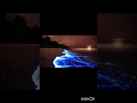 Vidéo de l’hébergement