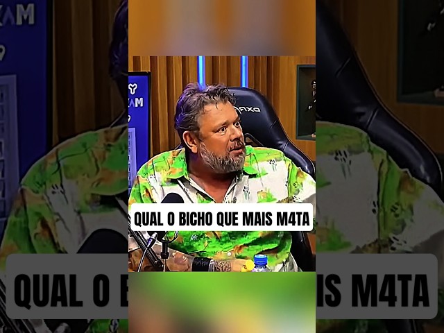 O Bicho que mais mata