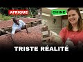 Un chinois Explique pourquoi les africains sont et resteront pauvre.