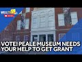 Help the Peale Museum bring an outdoor concert series to Baltimore