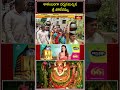 శాకంబరిగా దర్శనమిచ్చిన శ్రీ పోలేరమ్మ.. #shakambhari #polerammathalli #poleramma #trendingshorts