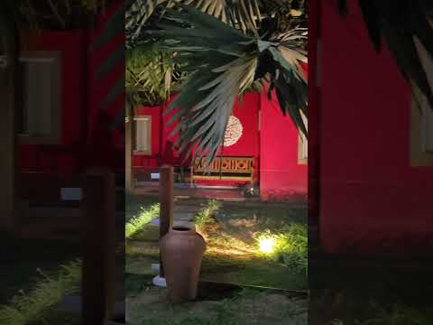 Property video