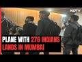 Alleged Donkey Flight, Held In France, Lands In Mumbai With 276 On Board
