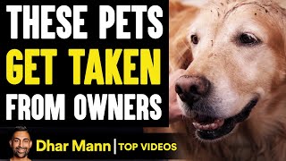 PETS Get TAKEN From Owners, What Happens Next Is Shocking | Dhar Mann