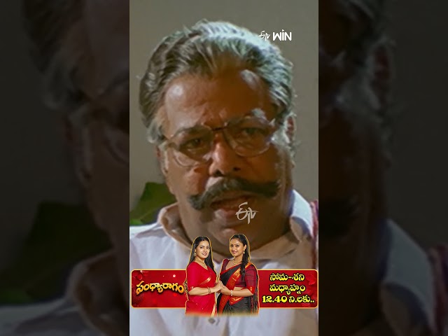 #shorts - Best Scene From Samara Simha Reddy #BalaKrishna #Simran #Sanghavi #etvcinema