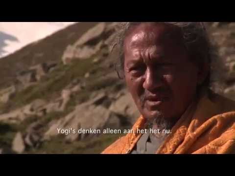The Mountain Yogi'