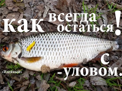 прикормка рыбы манки прикормка рыбы манки