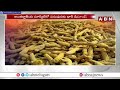 పసుపు రైతులకు మంచి రోజులు | Good Days For Turmeric Farmers | Farmers | ABN Telugu  - 05:39 min - News - Video