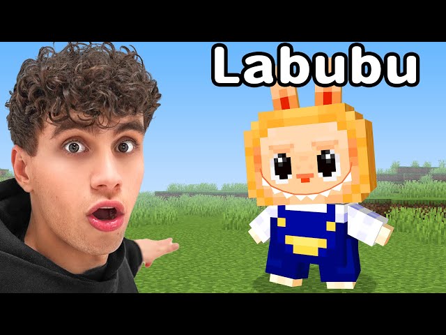 Valsspelen Met Labubu's In Een Gevecht