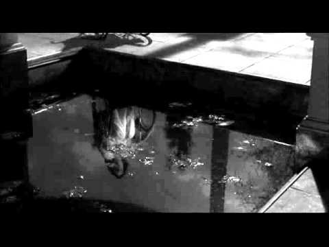 Taste of Fear'