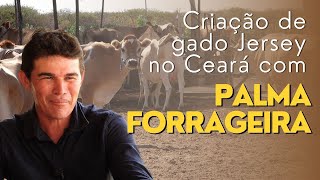 Valle Verde Agropecuária - atividade leiteira com gado Jersey no nordeste brasileiro