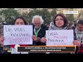Pro Palestine Protest in South America, A Palestinian Diaspora Makes Its Voice Heard On Gaza | News9