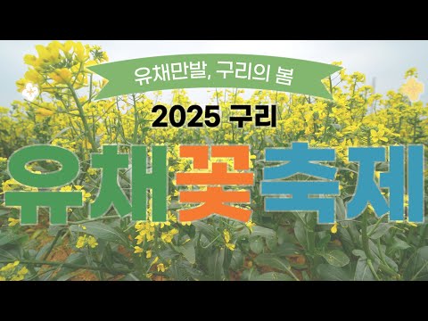 [현장스케치] 이젠 유채꽃 축제에서 웨딩촬영도 한다면서? - 2025 구리 유채꽃축제