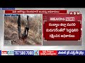 ఉచ్చులో చిక్కుకున్న పెద్దపులిని రక్షించిన అధికారులు | Tiger Rescue | ABN Telugu  - 03:43 min - News - Video