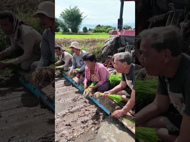 เร็วโพด
