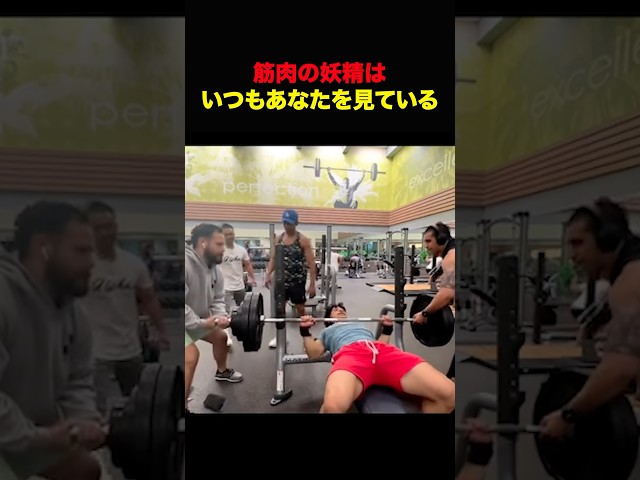 ジムで視線を感じる理由 #shorts