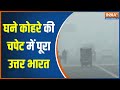 North India Dense Fog News: पूरा उत्तर भारत में कोहरे ने मचाया कोहराम... विजिबिलिटी शून्य | Delhi