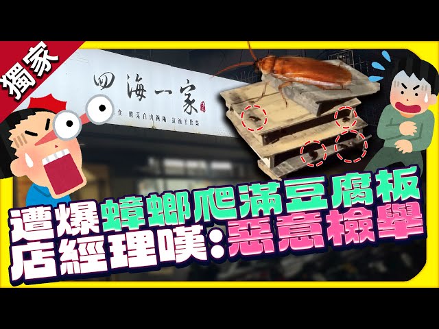 獨／台北老店爆蟑螂爬滿豆腐板　店經理喊冤：鄰居愛檢舉 @ChinaTimes