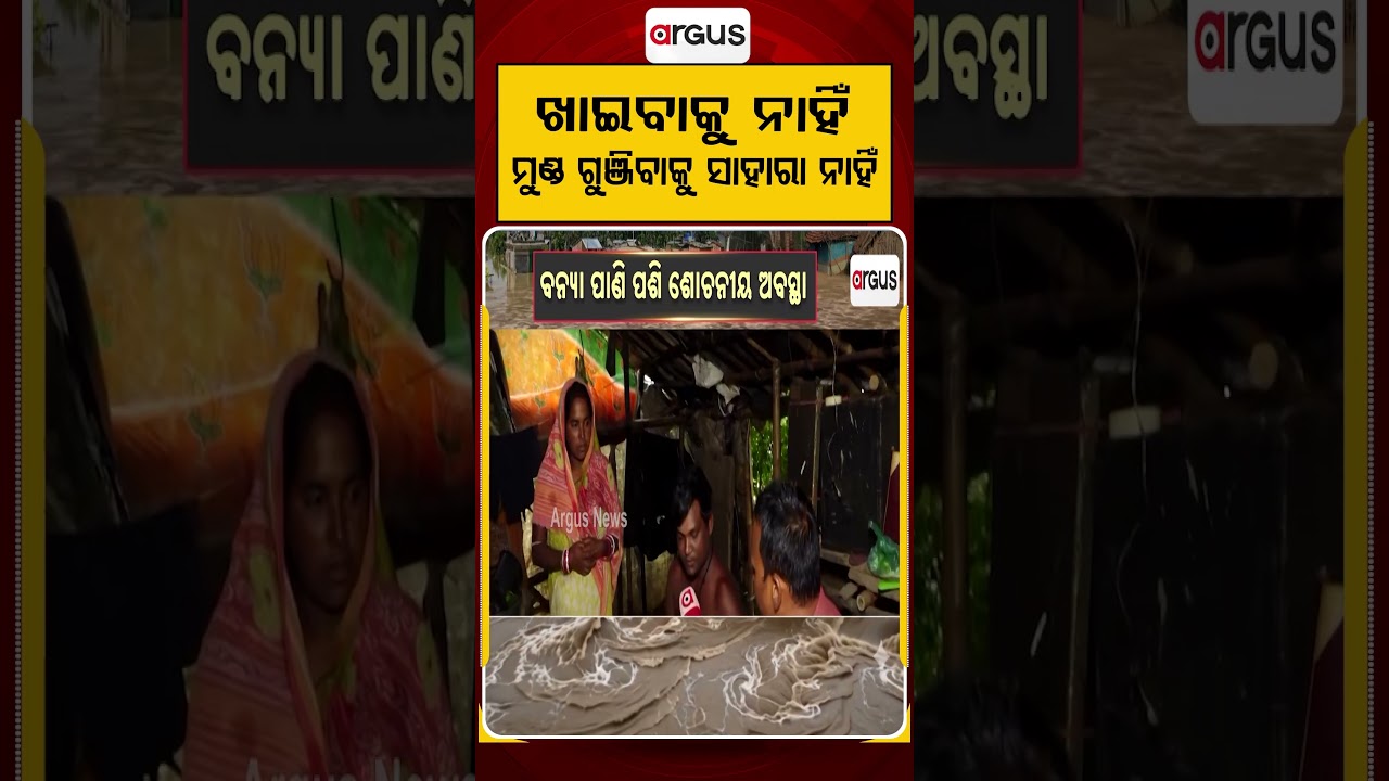 ଖାଇବାକୁ ନାହିଁ ମୁଣ୍ଡ ଗୁଞ୍ଜିବାକୁ...| Brahmani Flood : Villages Submerged, Houses Collapse | Argus News
